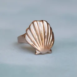Flat Shell Ring -Deals Bijestora Store 080421 PV 2831.CR2