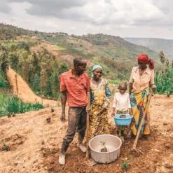 One Tree Planted Bracelet 13 One Tree Planted Bracelet -Deals Bijestora Store 10BRCH1001 ONT2V3 min