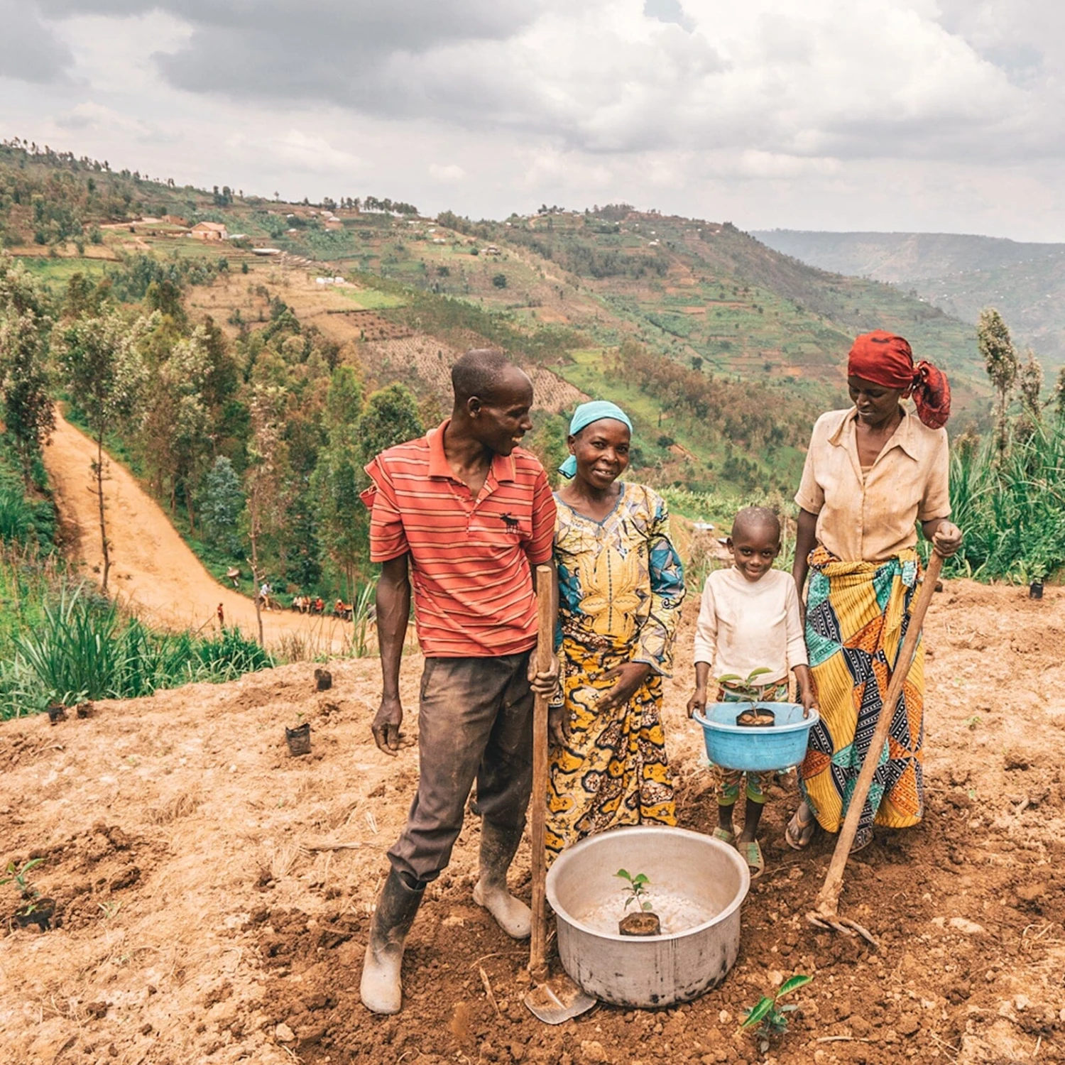 One Tree Planted Bracelet 4 One Tree Planted Bracelet - Image 4