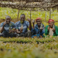 One Tree Planted Bracelet 17 One Tree Planted Bracelet -Deals Bijestora Store 10BRCH1001 ONT2V5 min