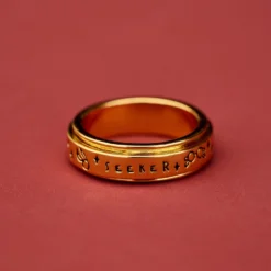 Harry Potter Seeker Fidget Ring -Deals Bijestora Store 39518SILV 3 min