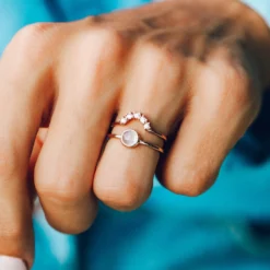 Nesting Ring -Deals Bijestora Store LP F19 NestingRing 02